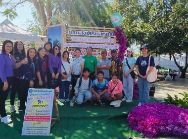 โครงการศึกษาดูงาน ... พารามิเตอร์รูปภาพ 11